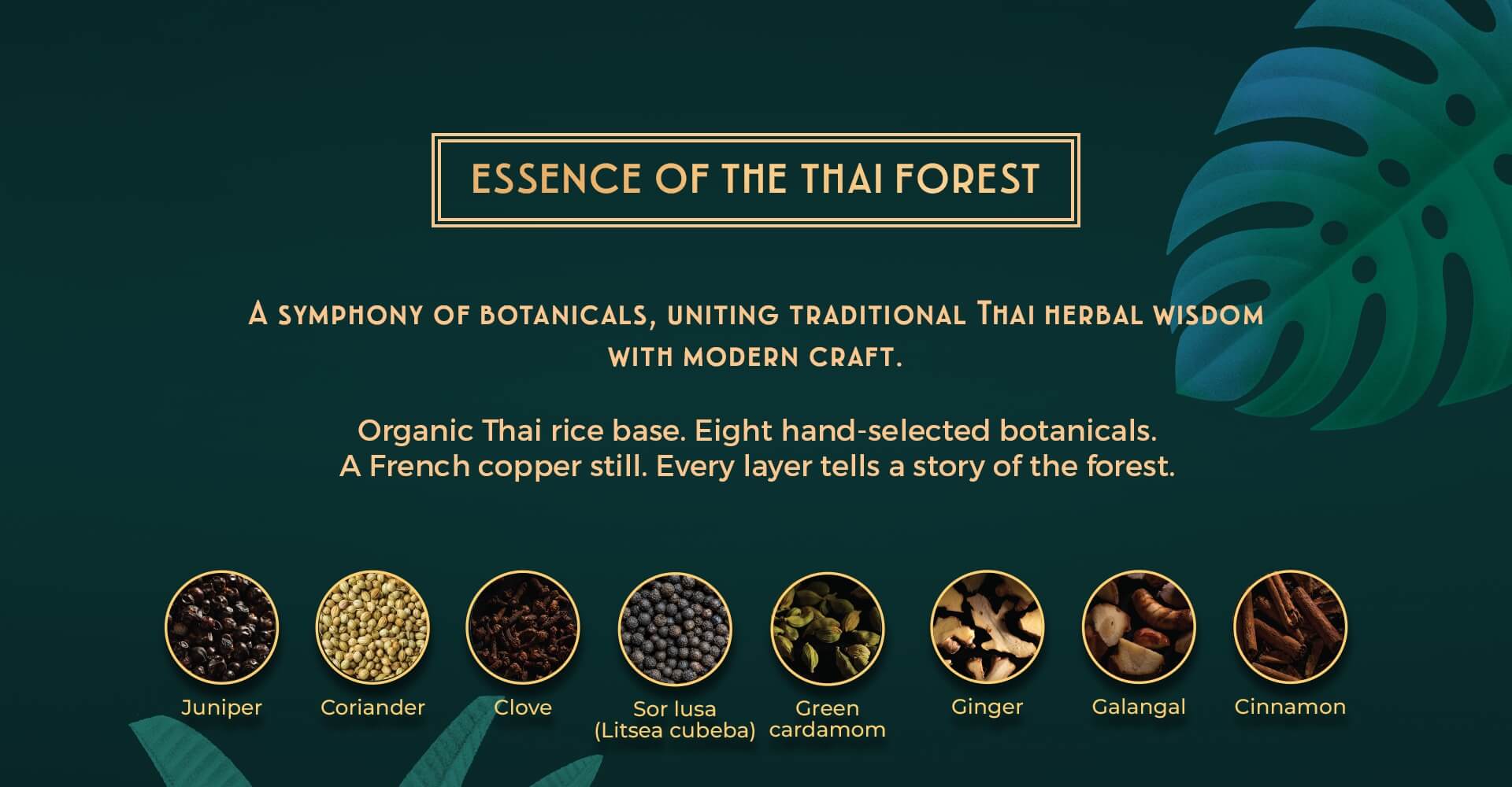 Saneha Sanctuary — essence of the Thai forest