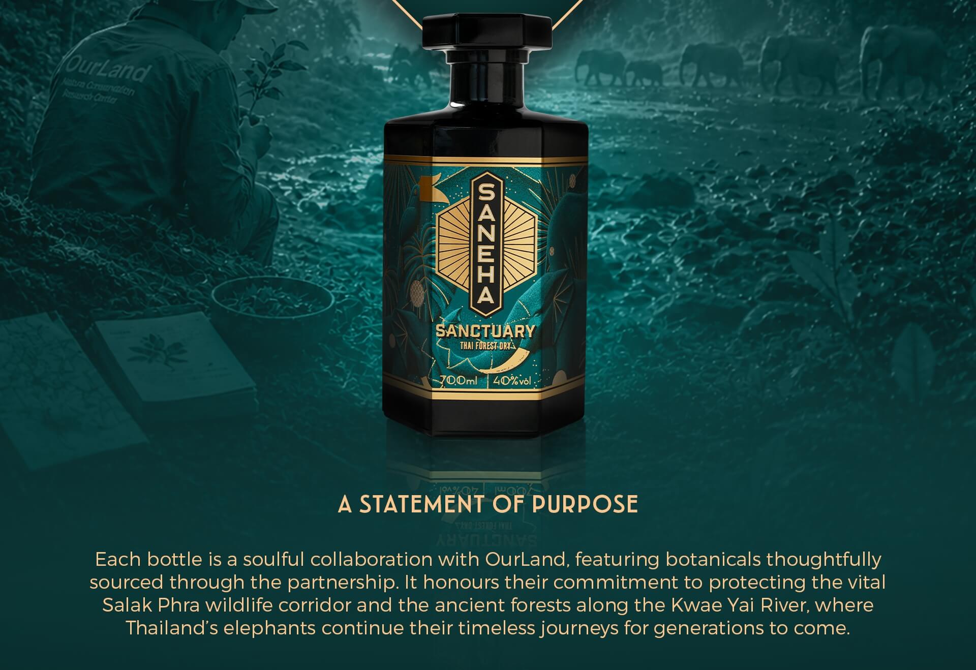 Saneha Sanctuary — a statement of purpose