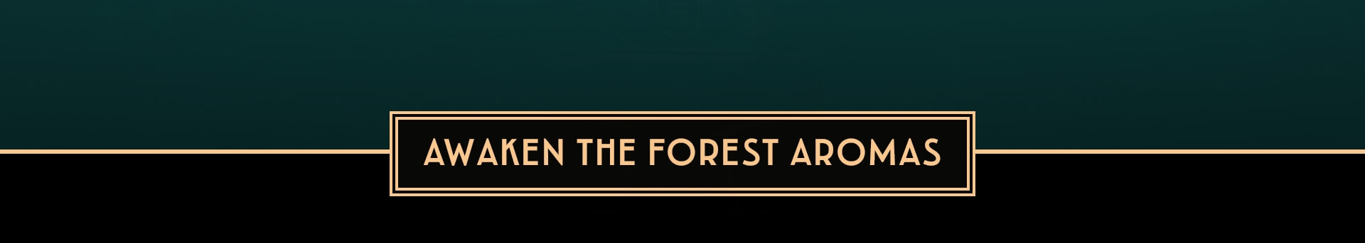 Saneha Sanctuary — awaken the forest aromas